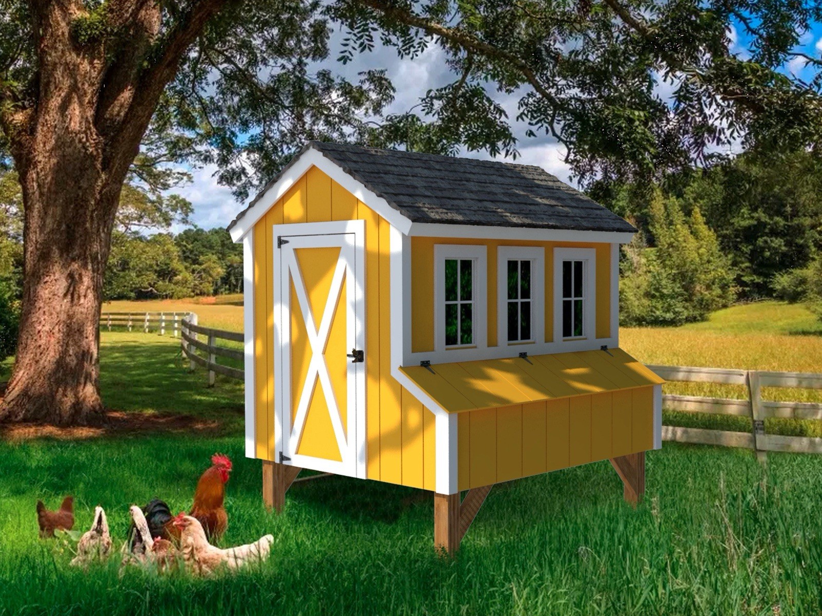 Chicken Coop Building Plans| Digital Download| Diy Chicken Coop | Instant