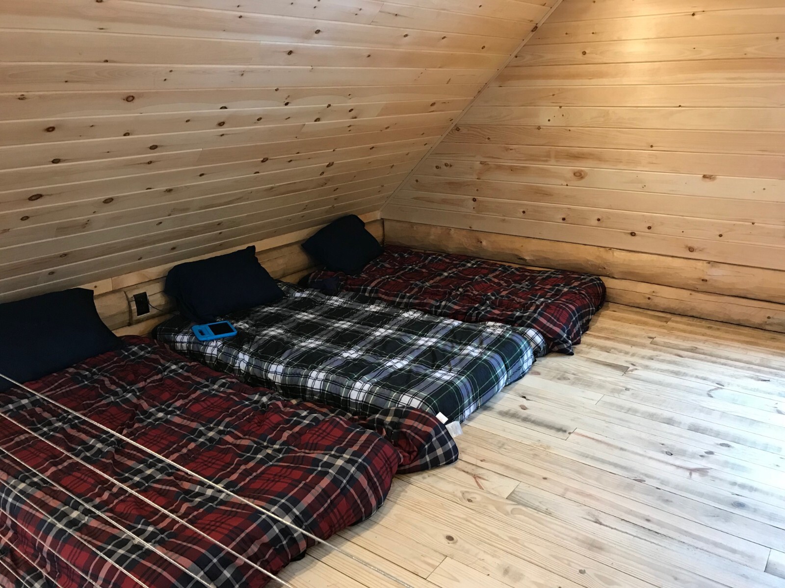 16′ x 30′ White Pine D-Log Cabin with Porch Package – WHOLESALE Price