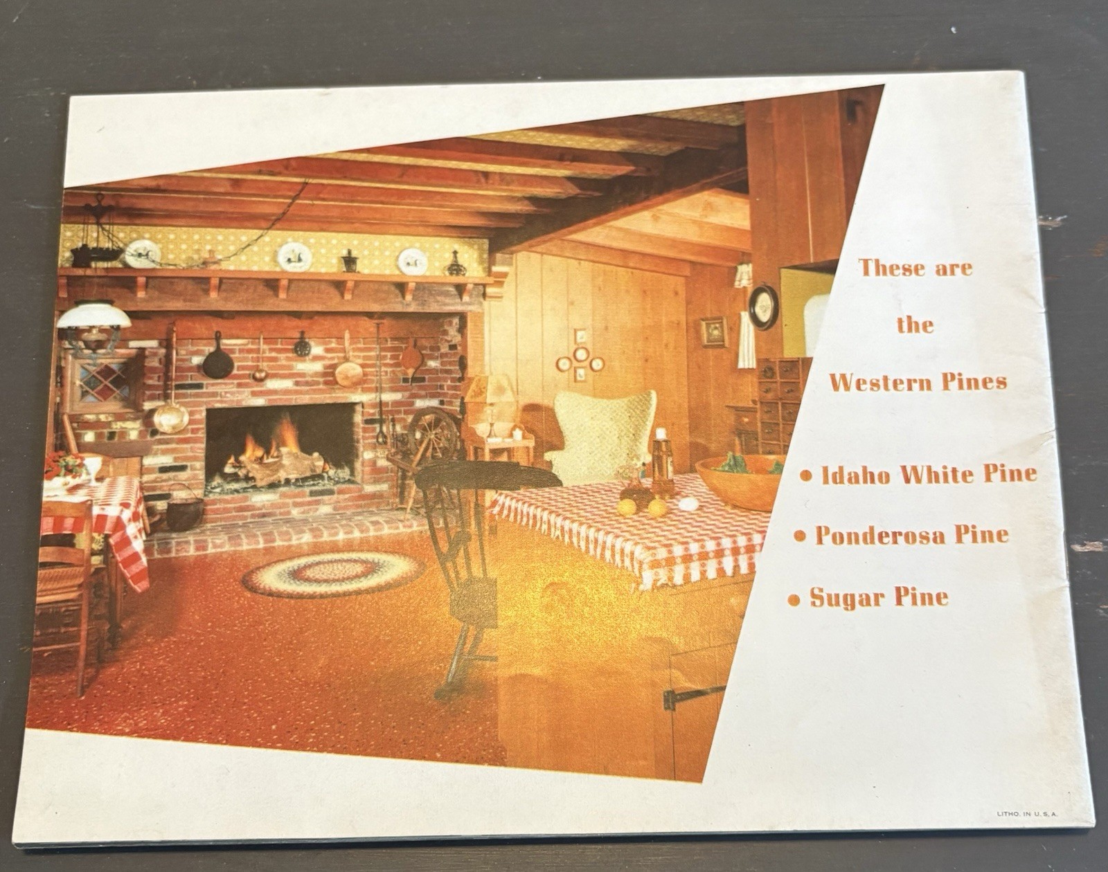 vintage 1940s WESTERN PINE ASSOCIATION sales brochure ENCHANTING HOMES buildings