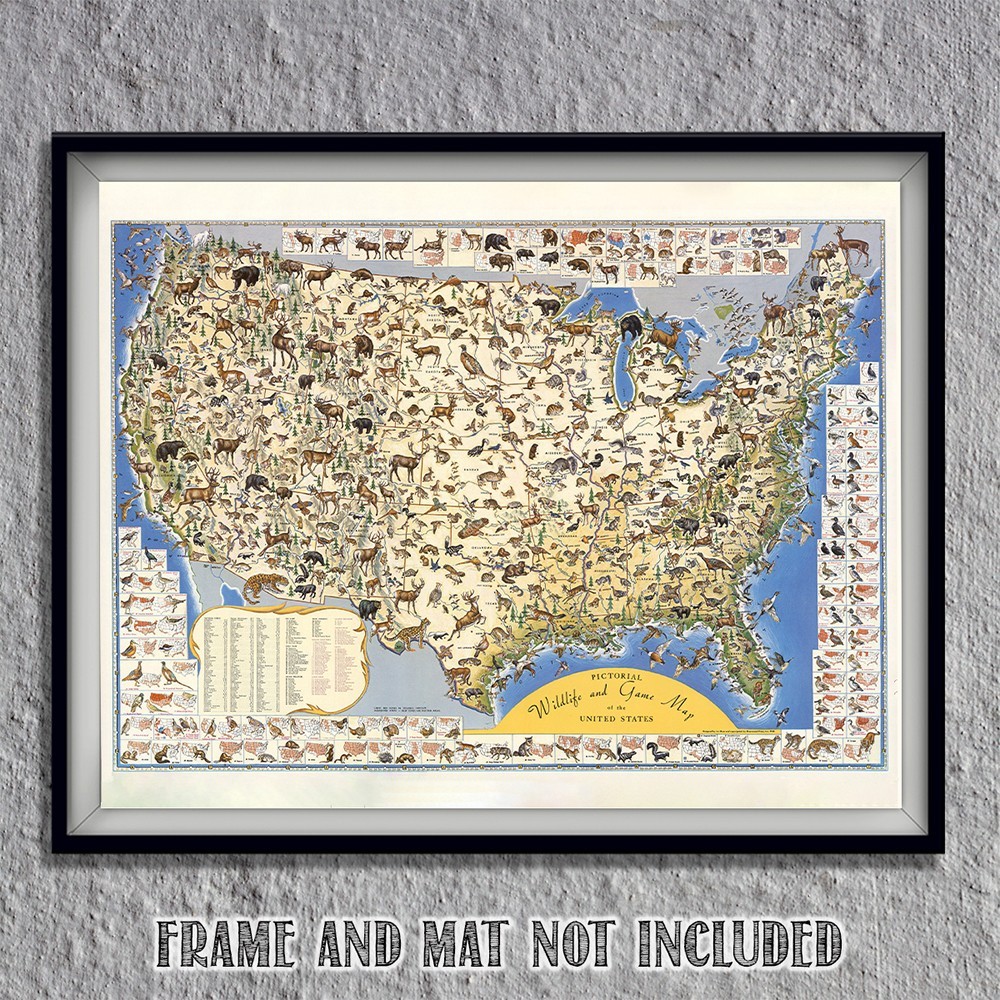 Pictorial Wildlife & Game Map of the United States Vintage Nature Print