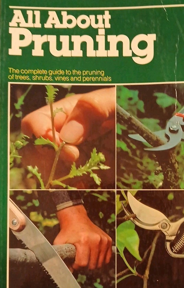 6 Home & Garden Improvement Guides