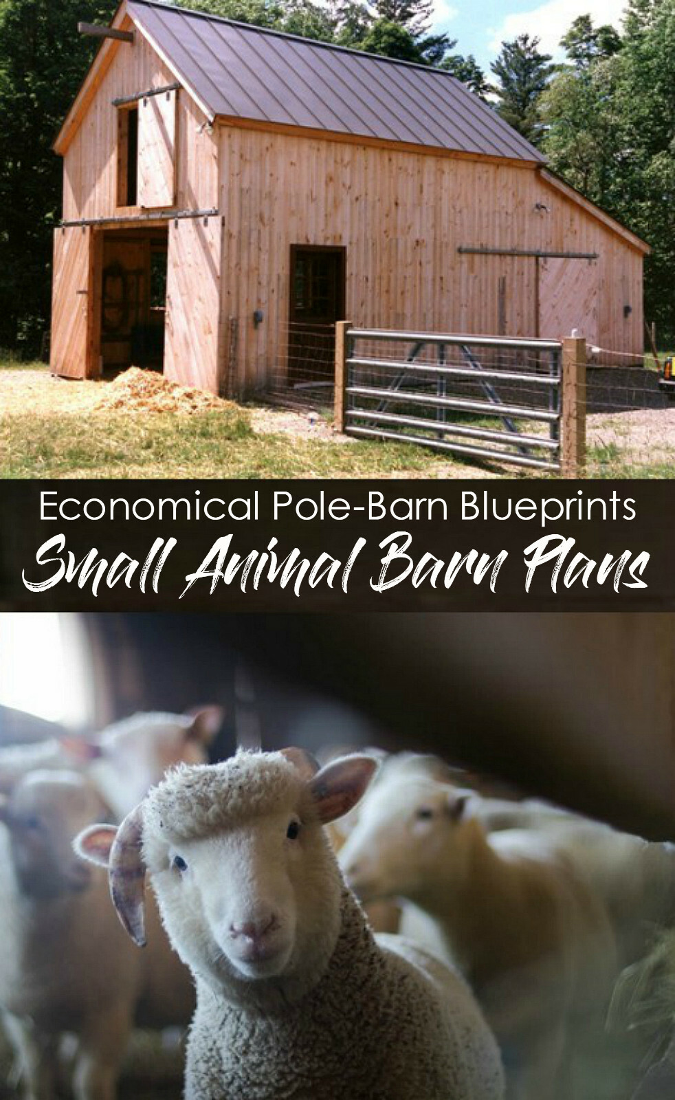3 Small Animal Barn Plans – Complete Pole-Barn Construction Plans (B2)