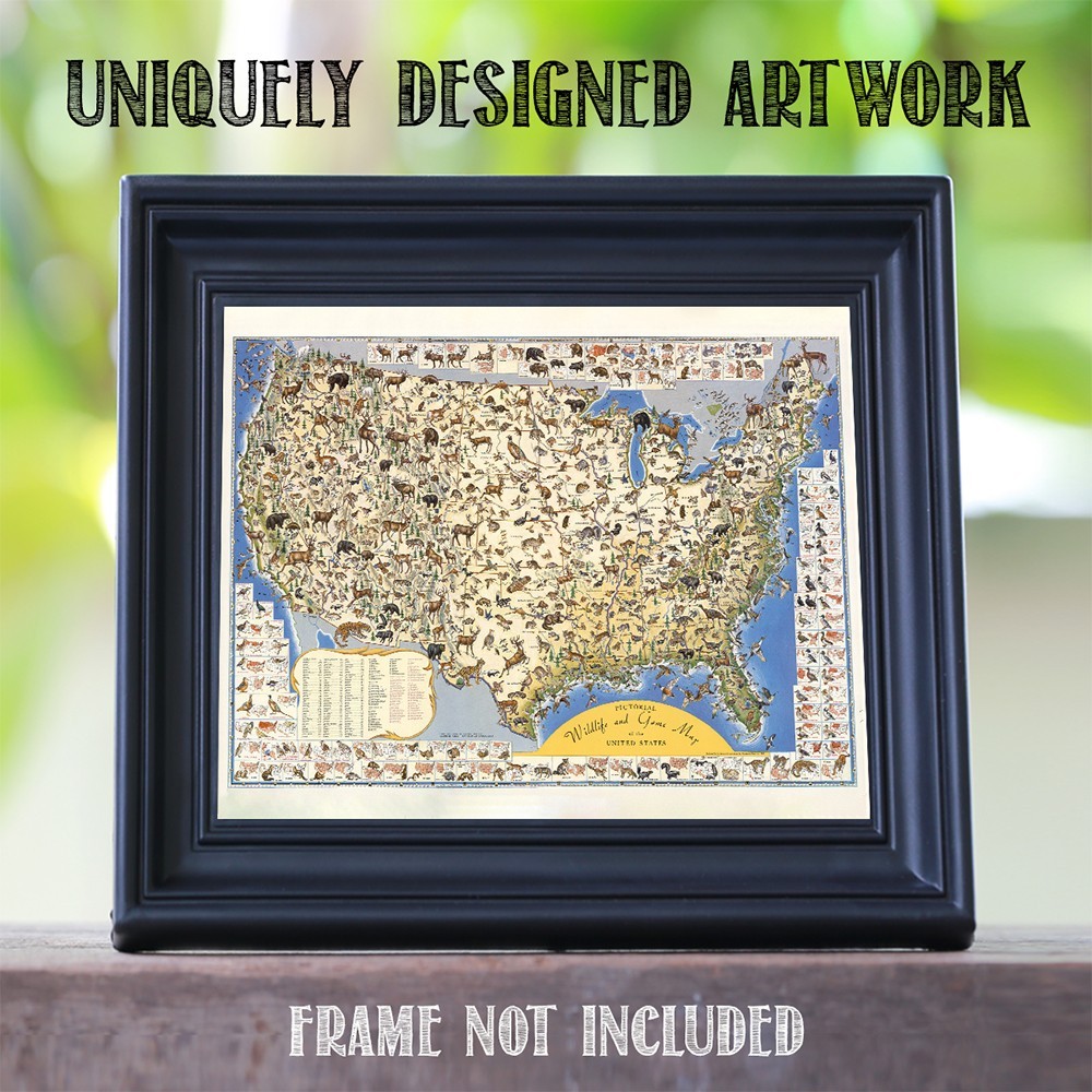 Pictorial Wildlife & Game Map of the United States Vintage Nature Print