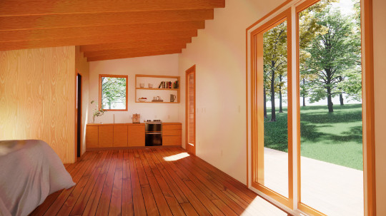 Modern 19′ x 28′ ADU/In-law Cabin / Guest / Tiny House Plans and Blueprints