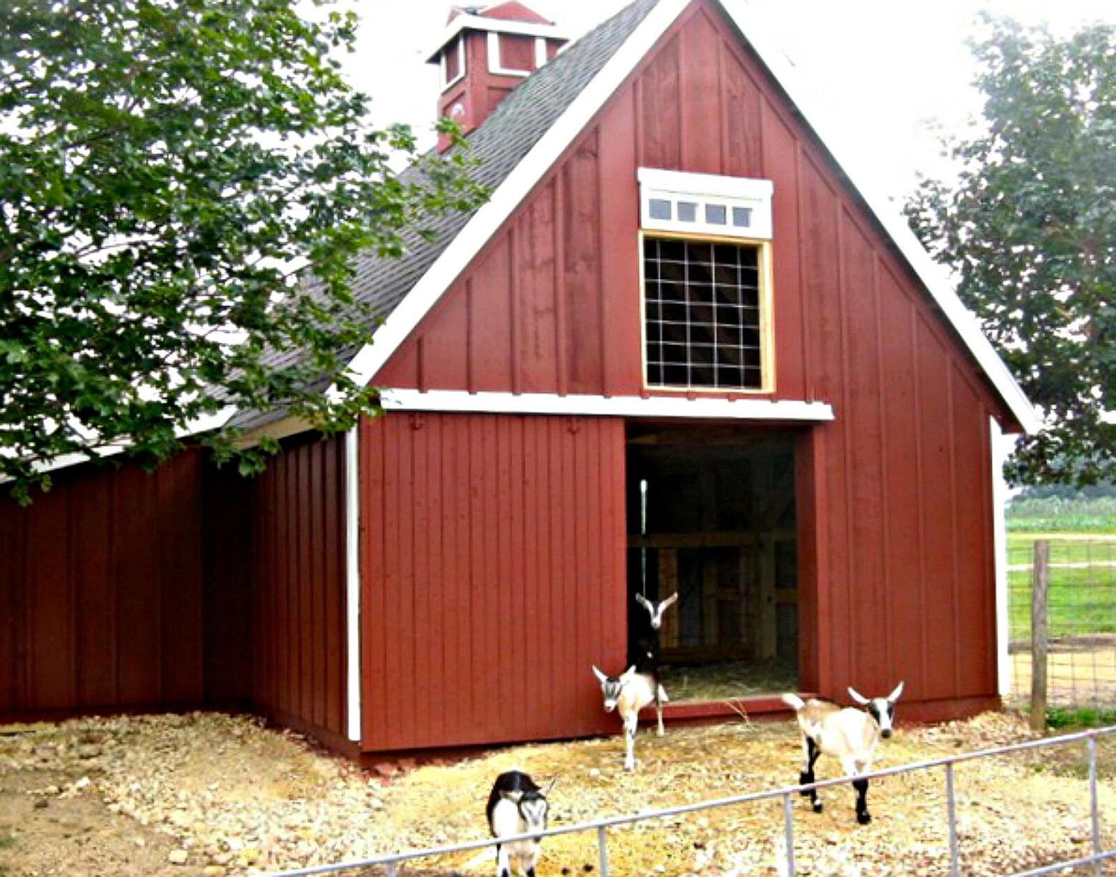 3 Small Animal Barn Designs- Complete Pole-Barn Construction Plans (B2)