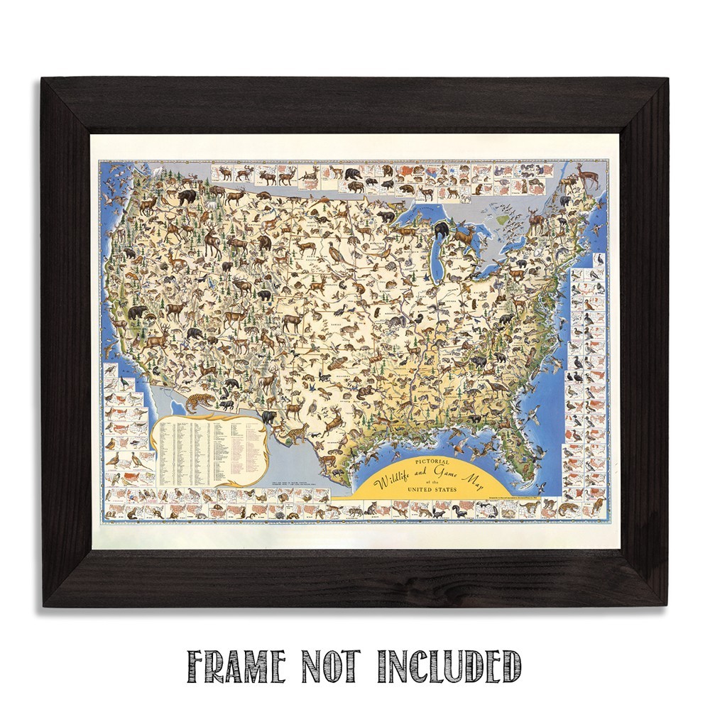 Pictorial Wildlife & Game Map of the United States Vintage Nature Print