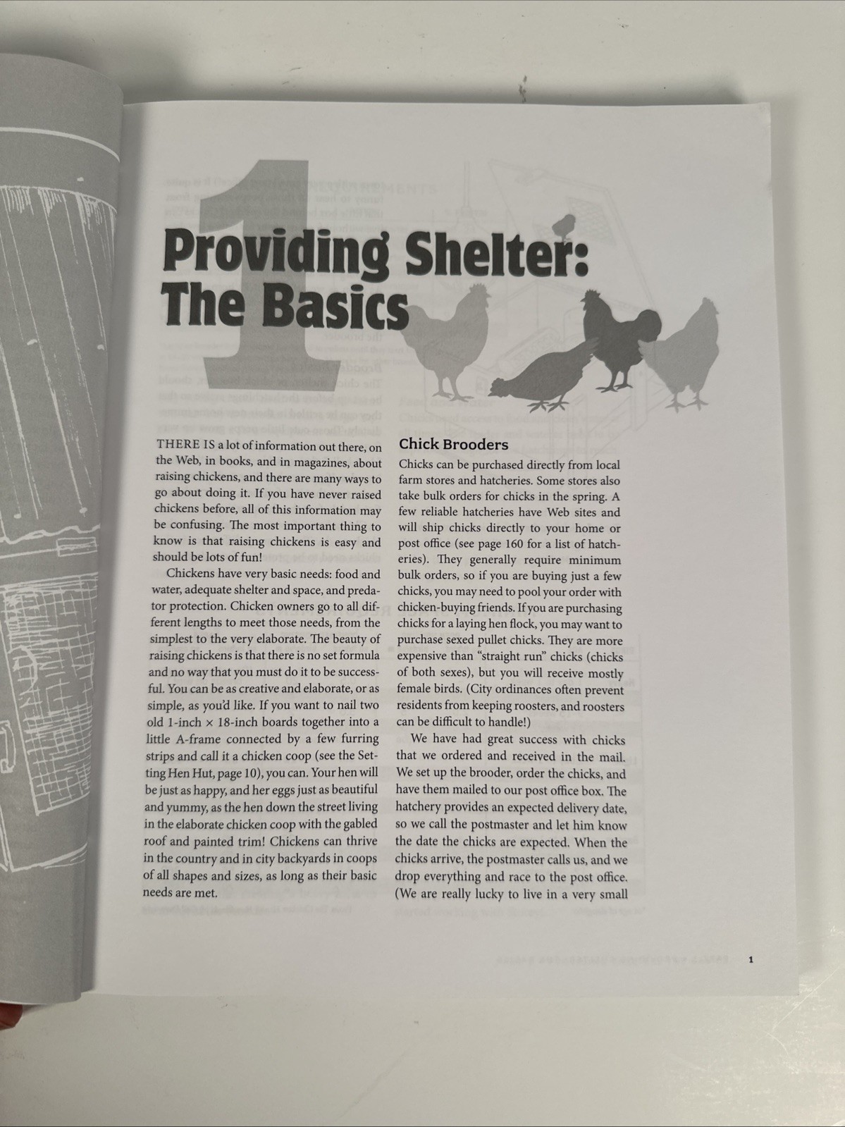 Chicken Coops: 45 Building Plans for Housing Your Flock by Judy Pangman How-To