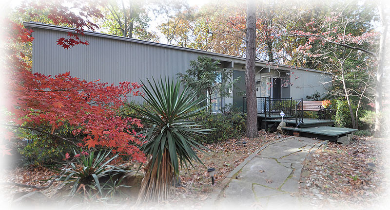 Mid-century modern home design, Lee House, architectural house plans, 4 bedrooms