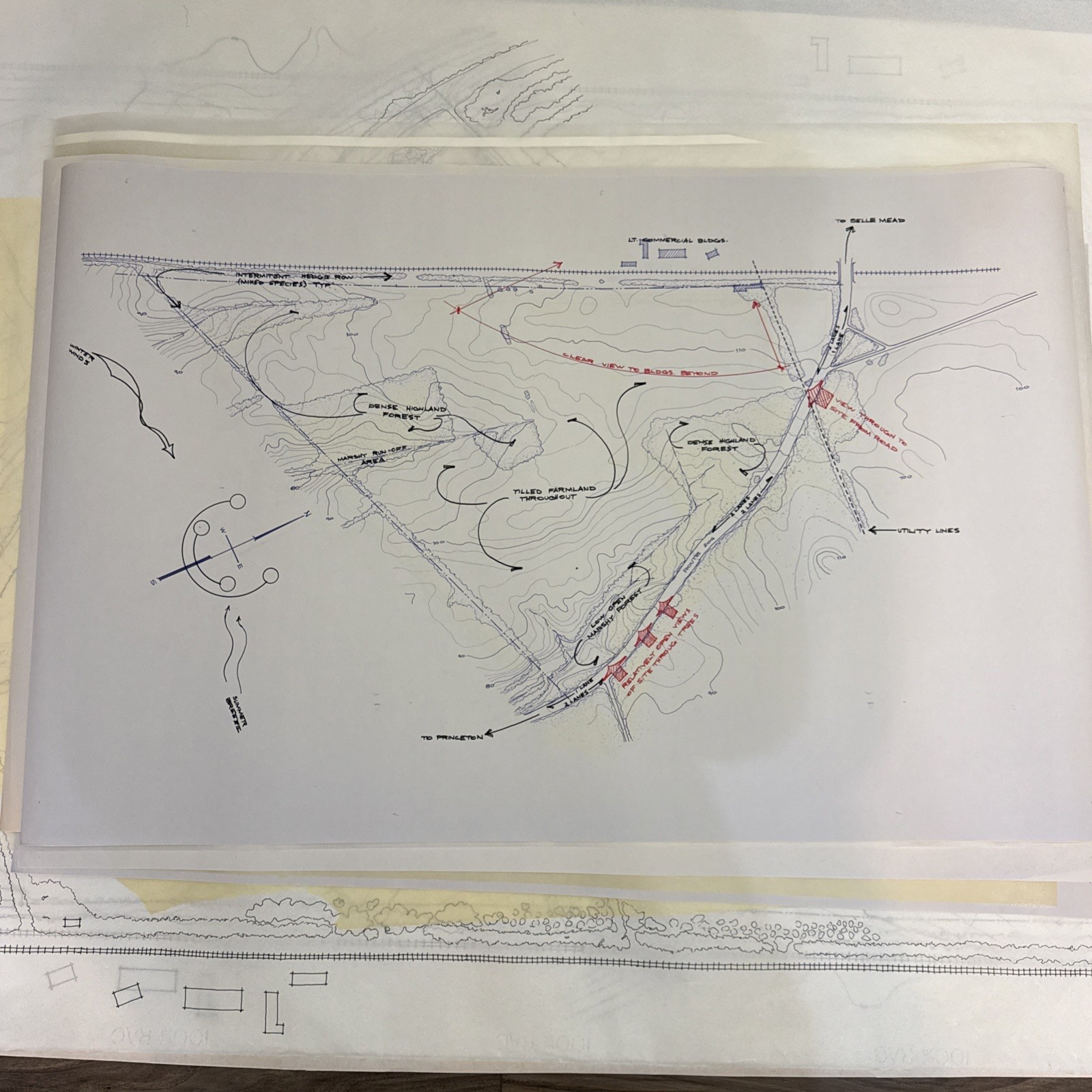 Vintage Architectural Site Plan Princeton NJ Landscape Drawings Blueprint Lot